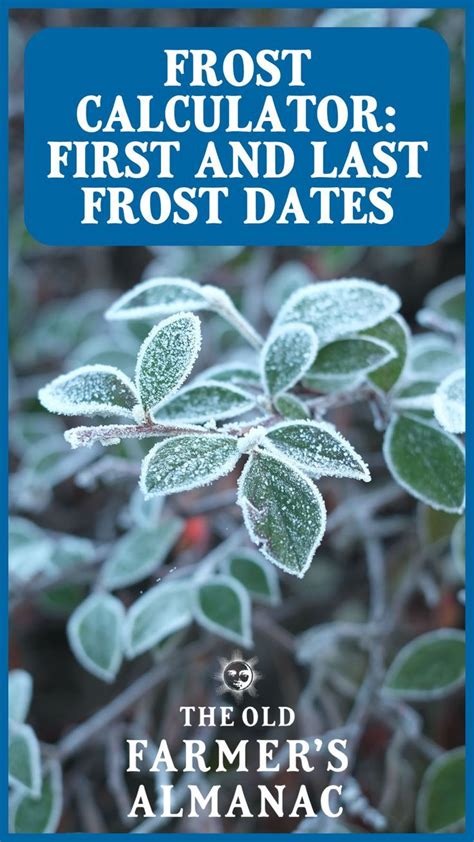 farmer's almanac first frost|old farmers almanac frost dates.